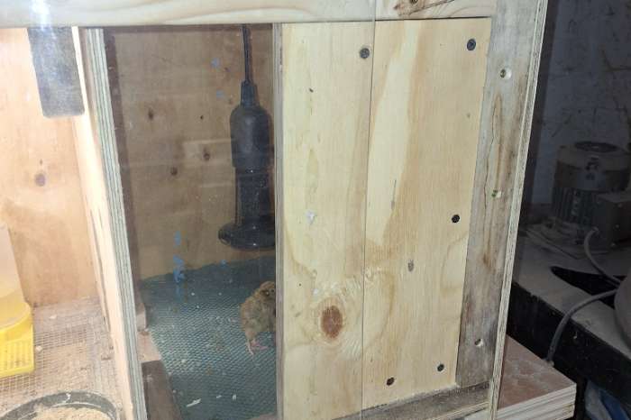 opfokkast / kunstmoeder