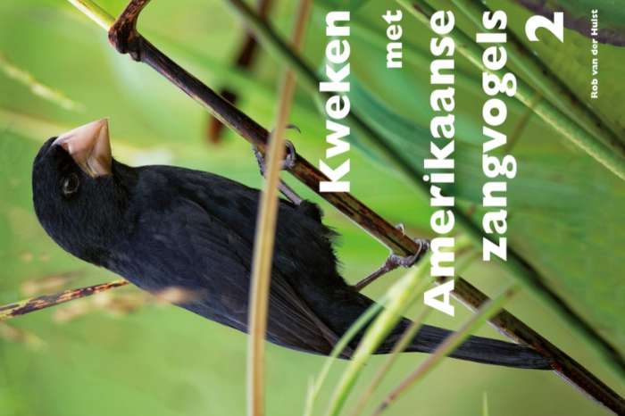 kweken met amerikaanse zangvogels deel 2
