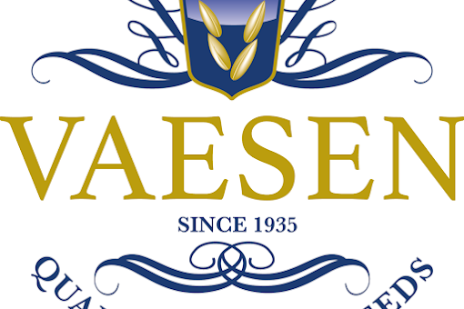 vogels beurs 't, sieske zaterdag 13 dec 25 elsloo