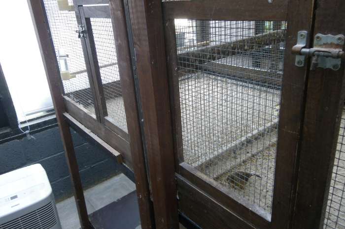 kweekkooien + voliere enz...aan mooie prijs