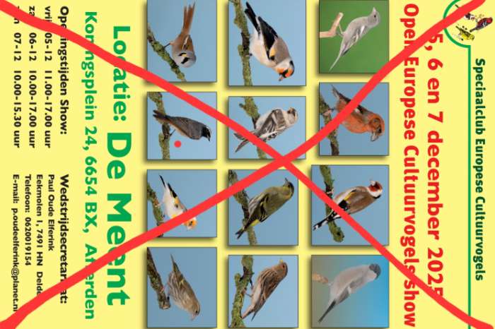 europese cultuurvogelshow afgelast