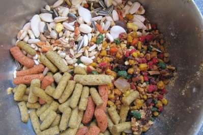 vele soorten voeding voor vogels en artikelen ?