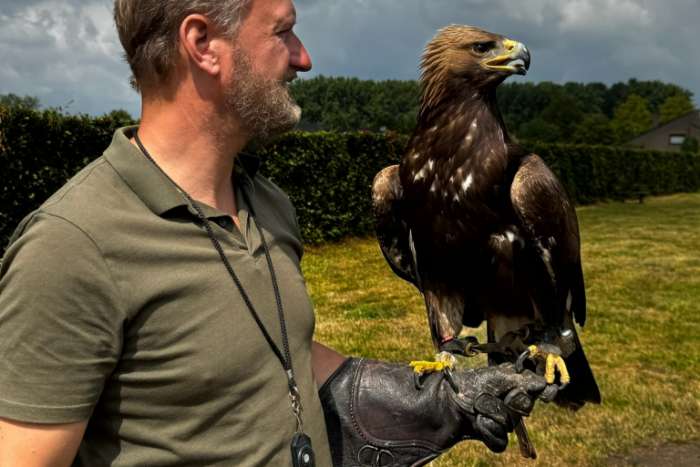 steenarend man natuurbroed 2024 aangeboden