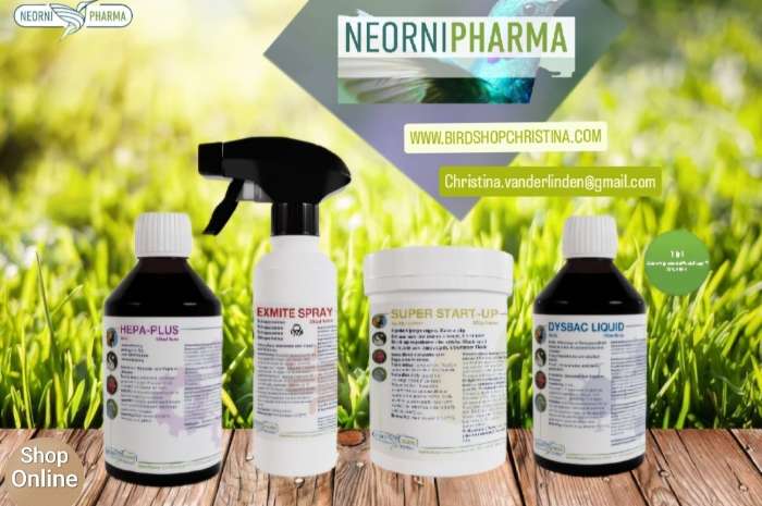 neornipharma producten