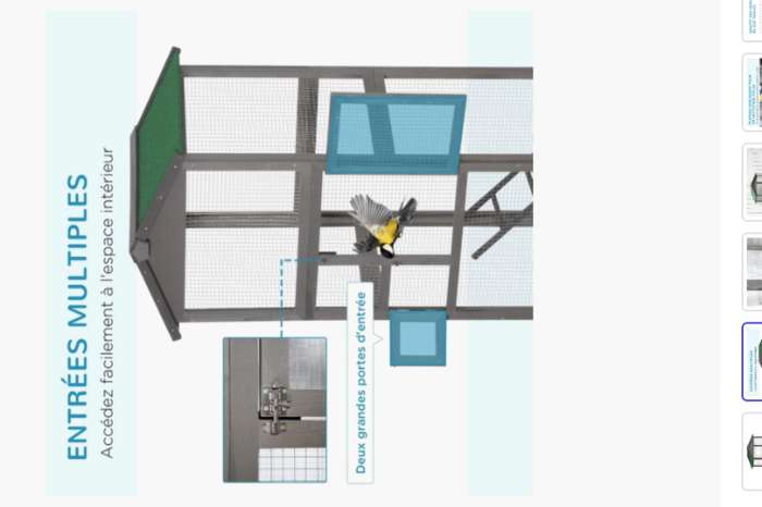 houten volière nieuw 68x63x165