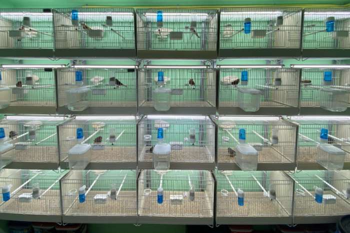 u heeft tralie of draad kooien? wij hebben de perfecte led's