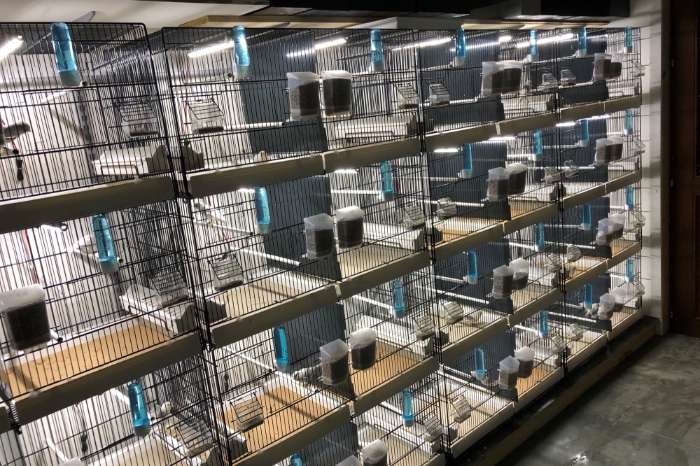 u heeft tralie of draad kooien? wij hebben de perfecte led's