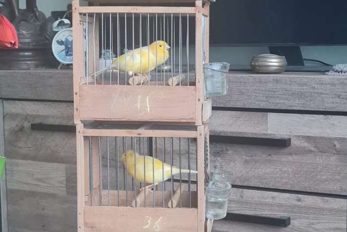 waterslagermannen 2025