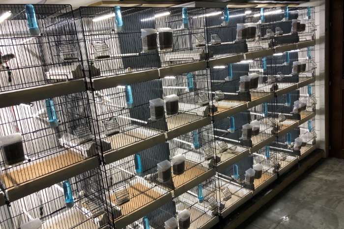 aluminium led tubes in 17-32-52-72-100 cm lengte