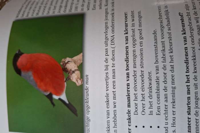 nieuwste uitgave boek de goudvink