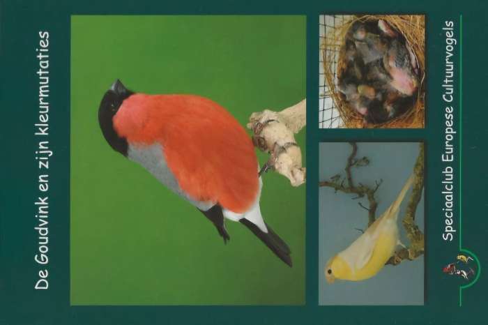 nieuwste uitgave boek de goudvink