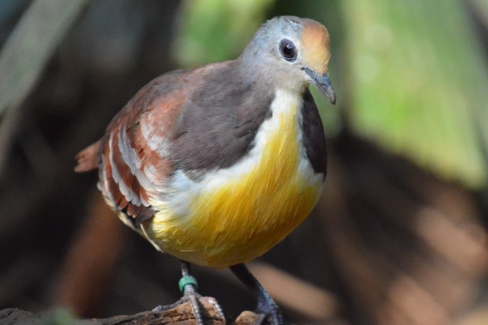 available for december