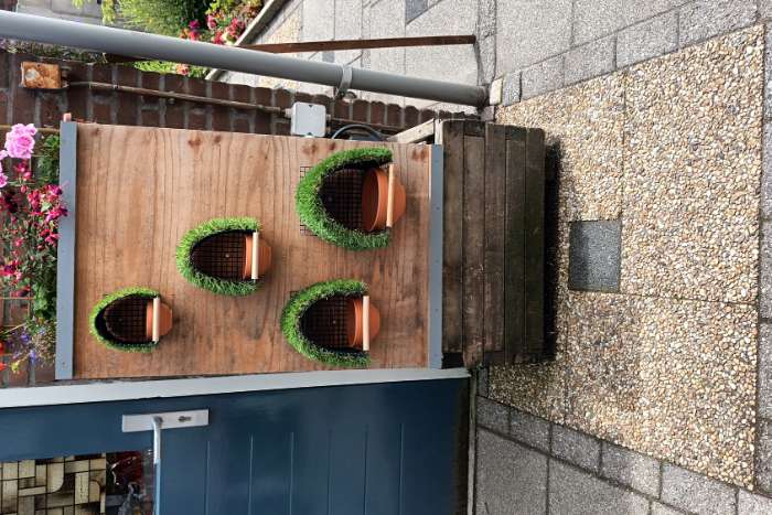 nestkasten tropische vogels,