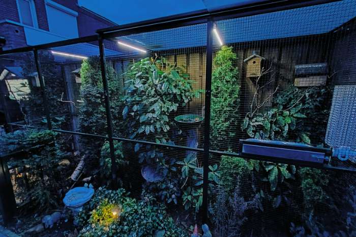 avicultuur-led dimmers voor 'n goed dag/nachtritme