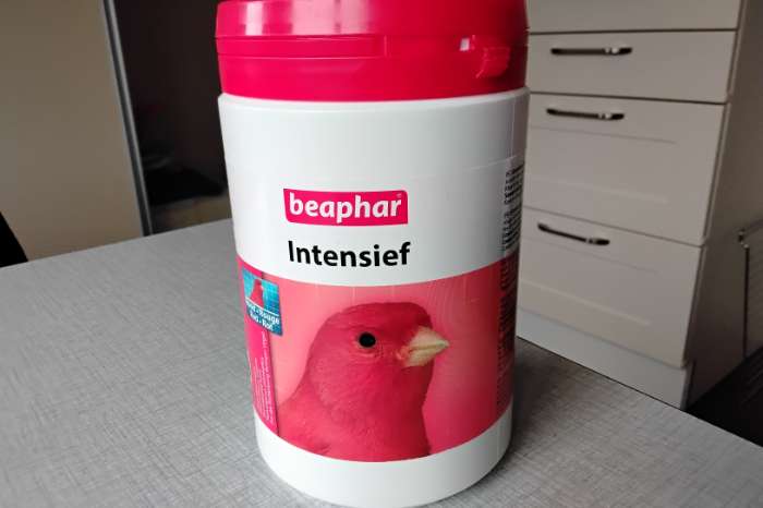 bogena intensief kleurstof