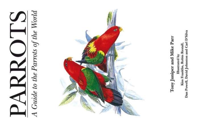 parrots – a guide to the parrots of the world