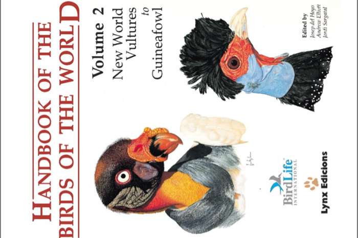 handbook of the birds o/t world-new world vultures to guineafowl