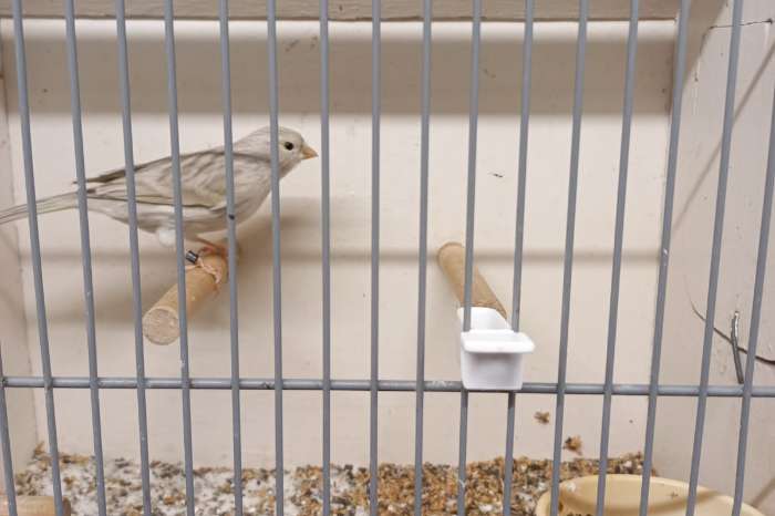 agaat pastel geel mozaïek