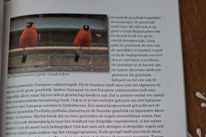 nieuwste uitgave boek de goudvink