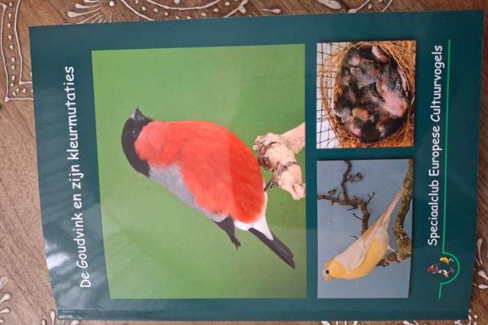 nieuwste uitgave boek de goudvink