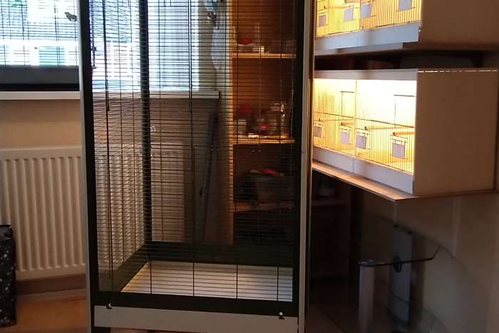 gestopt met hobby wegens gezondheid