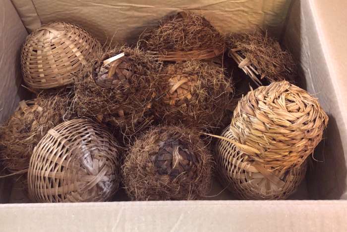 div vogel nestjes div verschillende doos 4