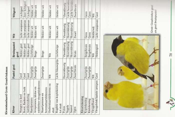 de goudvink en zijn kleurmutaties (nieuw - zojuis verschenen)