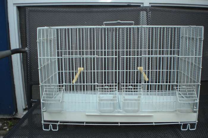 vogelbeurs vlaardingen