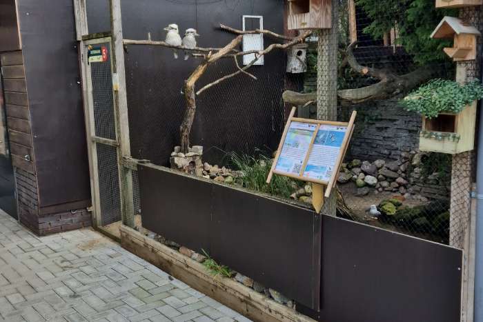 ?? kwaliteitsvogels met herkomst & zekerheid