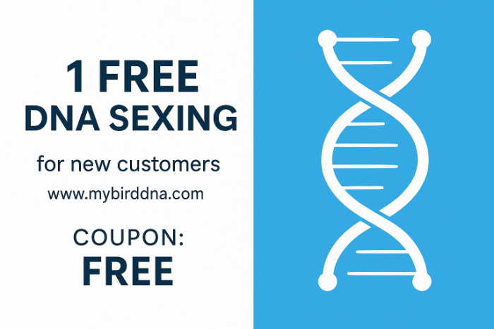 1 dna geslachtsbepaling tot nieuwe klant