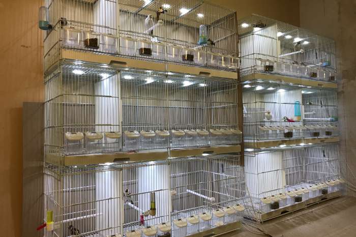 u heeft tralie of draad kooien? wij hebben de perfecte led's