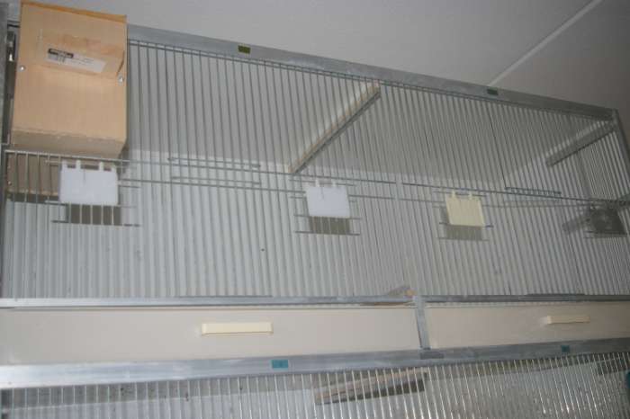 4 gehu kooien 120 x 40 x 50