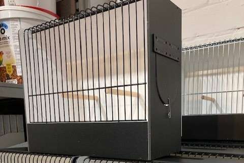 promo pvc tt kooien 10+1 gratis