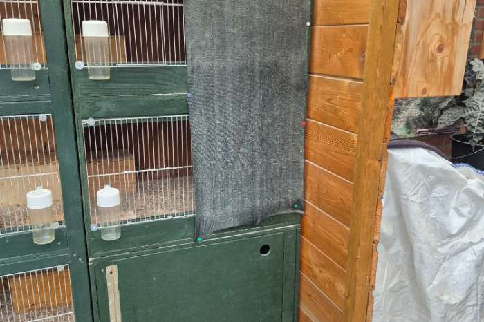 diverse kooien voor kwartels , ander gevogelte of knaagdieren