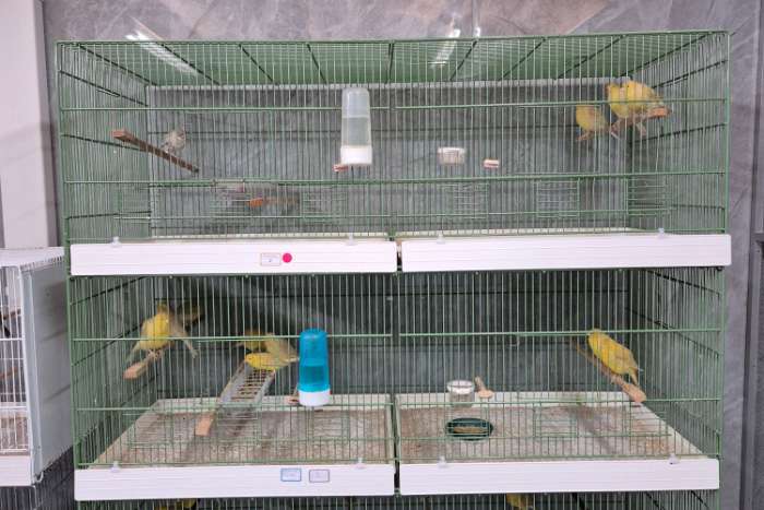 draadkooien kleur groen