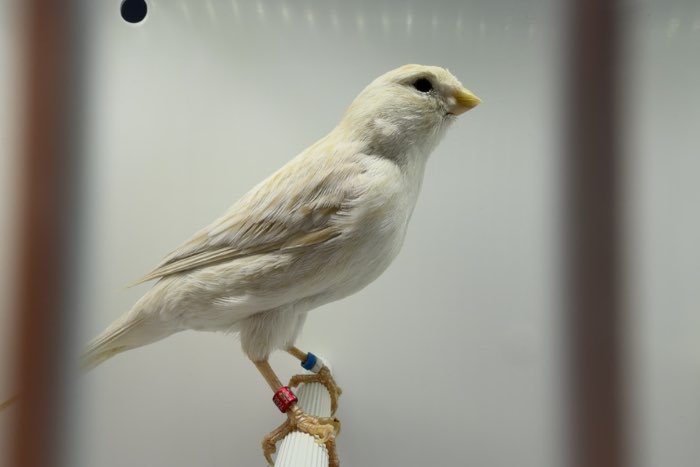 ??????? ??????? ????????