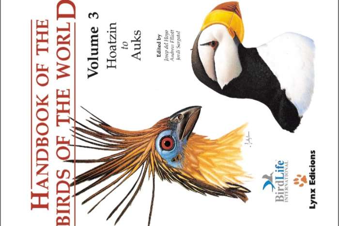 handbook of the birds of the world deel 3, hoatzin to auks