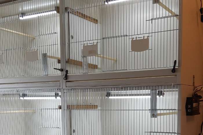 compleet assortiment led producten voor vogels