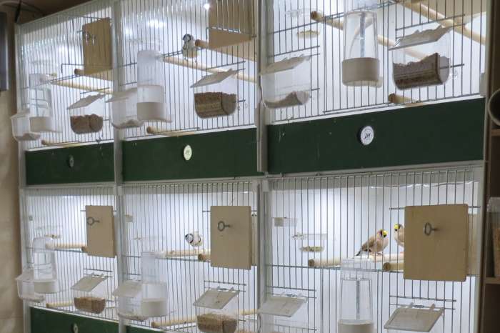 compleet assortiment led producten voor vogels