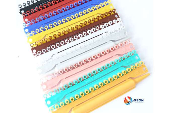 vogel - pluimvee ringen +