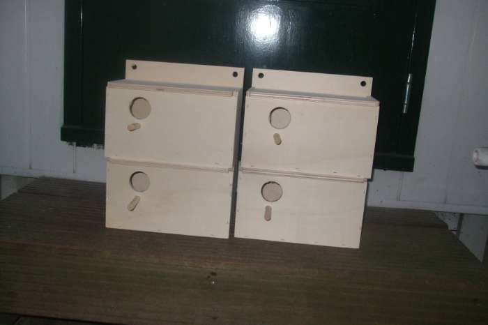 grasparkieten en engelse grasparkietenblokken ageponiden