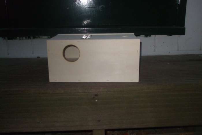 grasparkieten en engelse grasparkietenblokken ageponiden