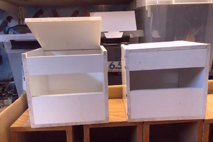 div vogel nestjes ed doos 2 vol