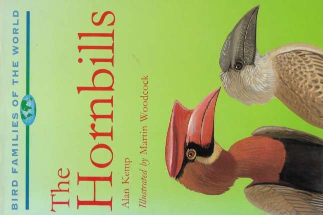 the hornbills
