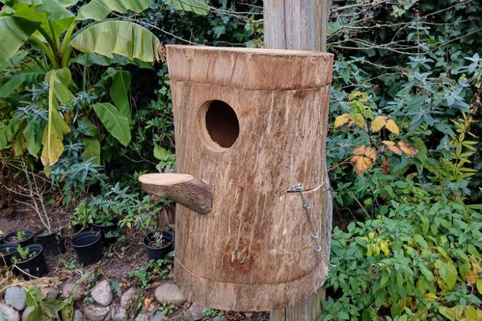 mooie natuurlijke broedblokken.