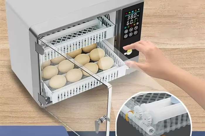 broedmachine - ziekenkooi volautomatisch