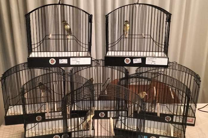 japan hosos, nog enkele vogels