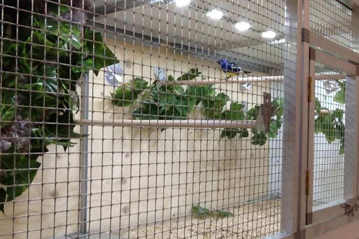 plug-in led verlichting, makkelijker kán niet!