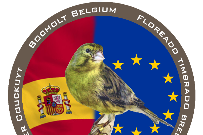 timbrado spaanse zangkanarie ( floreado)