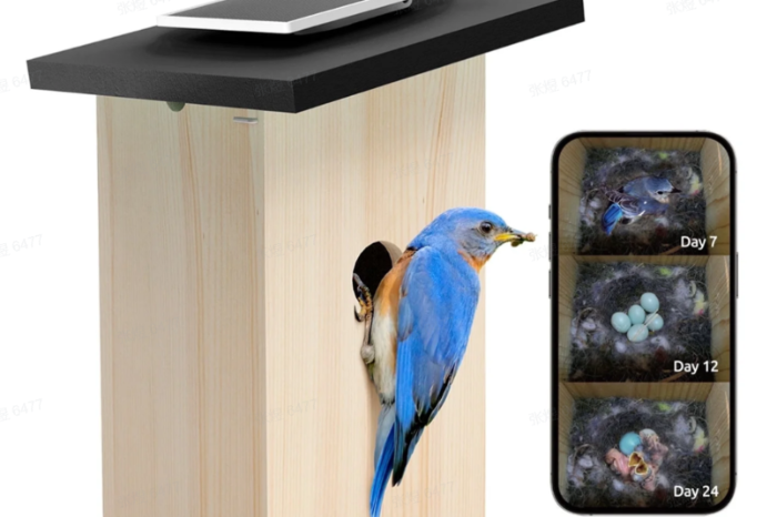 eindejaarpromo ,birdfy nestkast met live camera